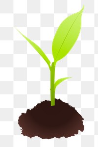 Sapling tree png illustration, transparent background. Free public domain CC0 image.