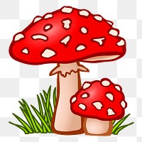 Fly agaric png illustration, transparent background. Free public domain CC0 image.