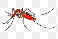 Mosquito png sticker, transparent background. Free public domain CC0 image.