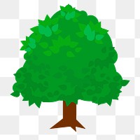 Tree png illustration, transparent background. Free public domain CC0 image.