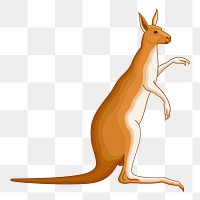 Kangaroo png illustration, transparent background. Free public domain CC0 image.