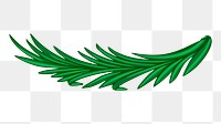 Pine leaves png illustration, transparent background. Free public domain CC0 image.