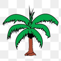 Coconut tree png illustration, transparent background. Free public domain CC0 image.
