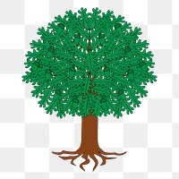Tree png illustration, transparent background. Free public domain CC0 image.