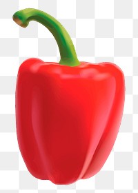 Bell pepper png illustration, transparent background. Free public domain CC0 image.