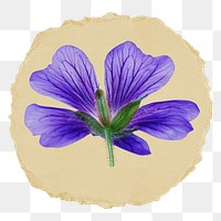 Purple flower png sticker, ripped paper on transparent background 