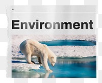 Environment png newspaper sticker, polar bear walking on ice image, transparent background