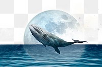 Png moon & whale border, surreal remixed media, transparent background