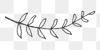 Leaf branch png sticker, transparent background