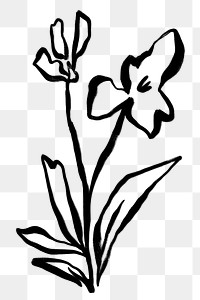 Png flower ink brush sticker, transparent background