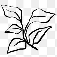 Leaf png sticker, ink brush botanical transparent background