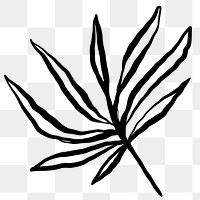 Leaf png sticker, ink brush botanical transparent background