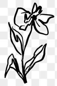 Png flower ink brush sticker, transparent background