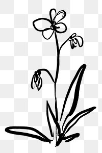 Png flower ink brush sticker, transparent background