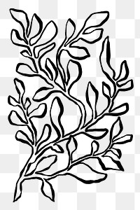 Leaf png sticker, ink brush botanical transparent background