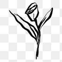 Png rose ink brush sticker, transparent background