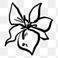 Png lily ink brush sticker, transparent background