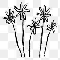 Flower png line art sticker, transparent background