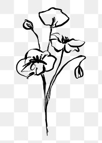 Flower png line art sticker, transparent background
