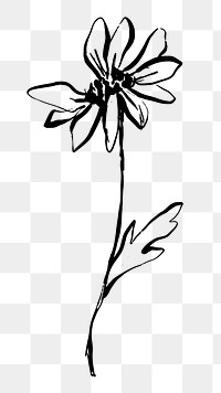 Png flower line art sticker, ink brush design on transparent background