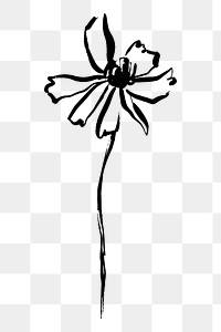 Png flower line art sticker, ink brush design on transparent background