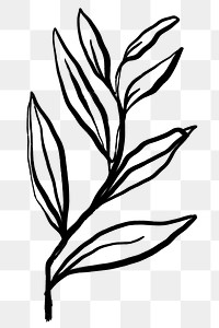 Leaf png sticker, ink brush botanical transparent background