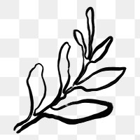 Leaf png sticker, ink brush botanical transparent background