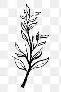 Leaf png sticker, ink brush botanical transparent background