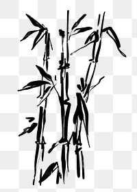 Bamboo  png sticker, ink brush botanical transparent background