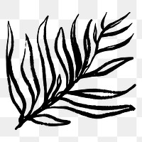 Leaf png sticker, ink brush botanical transparent background