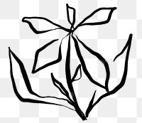 Flower png line art sticker, ink brush design on transparent background