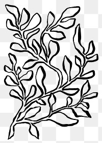 Botanical leaf png sticker, ink brush botanical transparent background