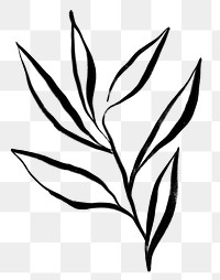 Leaf png sticker, ink brush botanical transparent background