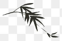 Bamboo leaf png sticker, ink brush botanical transparent background