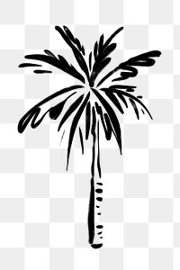 Palm tree png sticker, ink brush botanical transparent background