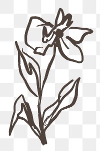 Flower png sticker, line art design on transparent background