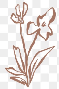 Flower png sticker, line art design on transparent background