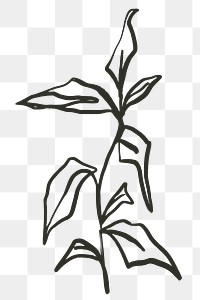 Leaf png sticker, botanical line art transparent background 