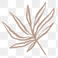 Leaf png sticker, botanical line art transparent background 