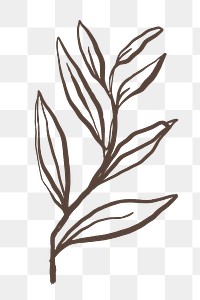 Aesthetic leaf png sticker, botanical line art transparent background 