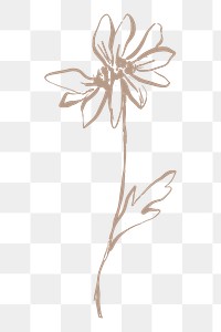 Aesthetic flower png sticker,  line art design on transparent background