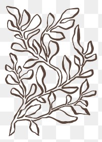 Aesthetic leaf png sticker, botanical line art transparent background 