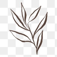 Leaf png sticker, botanical line art transparent background 