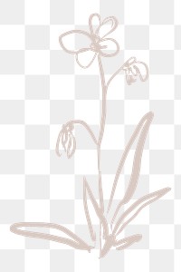 Flower png sticker, line art design on transparent background