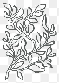 Aesthetic leaf png sticker, botanical line art transparent background 