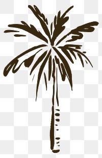 Palm tree png sticker, botanical line art transparent background 