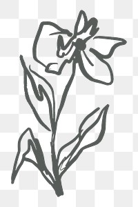 Flower png sticker, line art design on transparent background