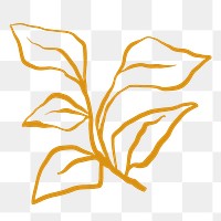 Leaf png sticker, botanical line art transparent background 