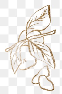 Gold orange png sticker, doodle fruit illustration transparent background 