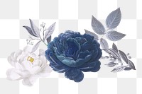 Blue rose png sticker, vintage illustration, transparent background